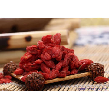 Highberry Chinese Wolfberry Supply